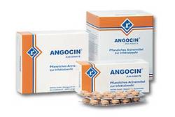 ANGOCIN Anti Infekt N Filmtabletten